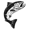 icon-salmon-jumping